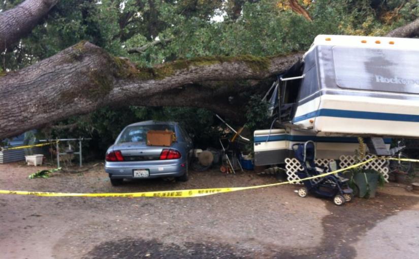 Tree Demolishes Rocklin&nbsp;Home