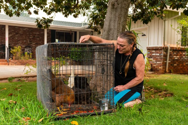 “All is Not Lost”: A Carr Fire Survivor Shares Her&nbsp;Story