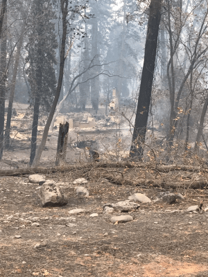 CLIENT_Frantic hours1