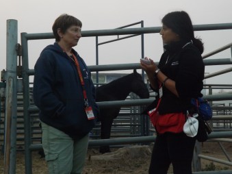 PARTNER_Collaboration2