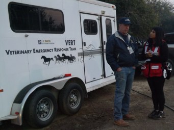 PARTNER_Collaboration3