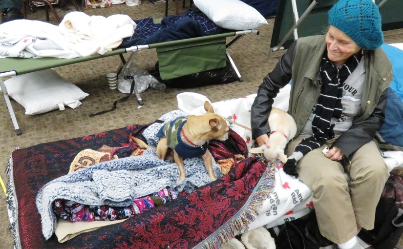 Shelter Resident Gets More Than A Cot 