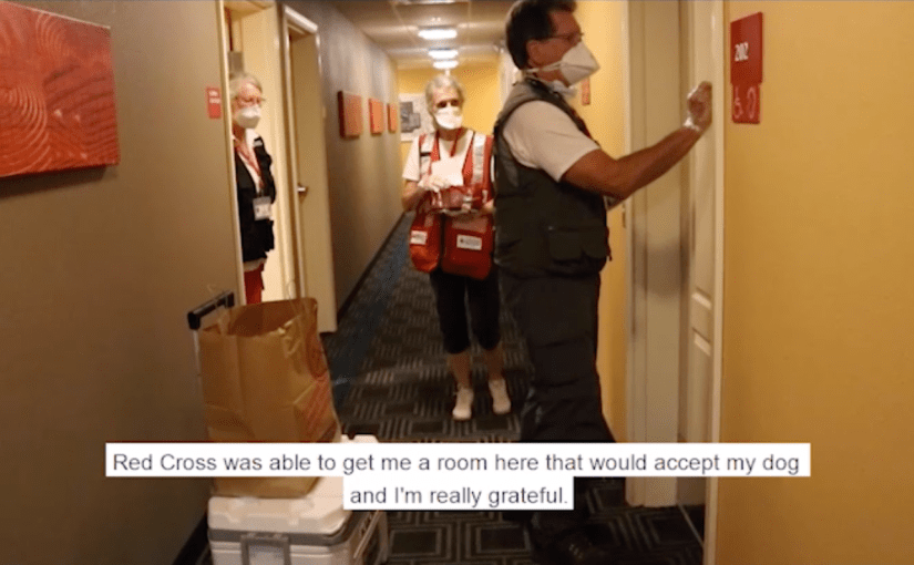 Decades of Work Gone-                  But We Still Have a&nbsp;Future